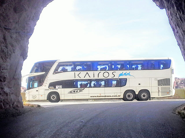 Bus 310 - Exterior